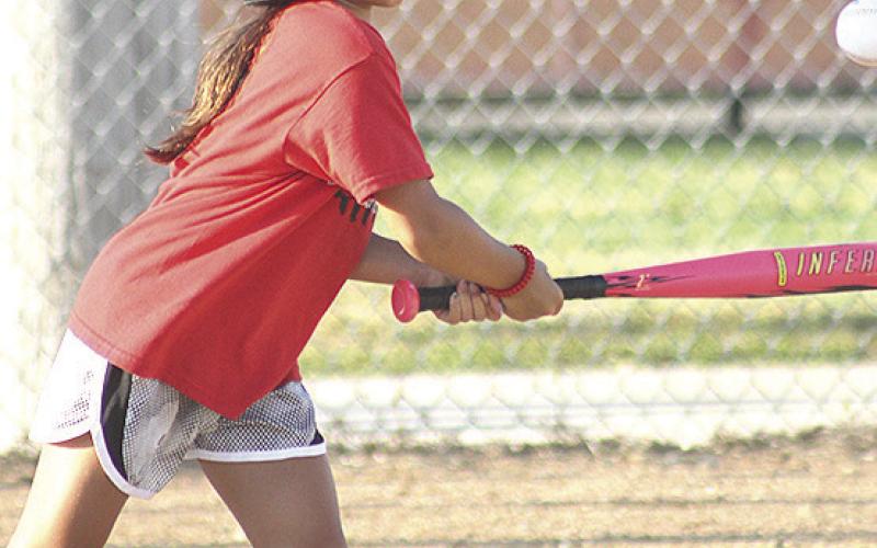Pawnee City T-Ball and Coach Pitch teams wrap up seasons
