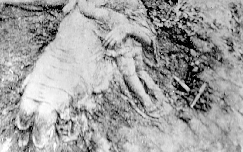 Photograph of sand sculpture on the banks of Taylor Branch, done by artist J. B. McCord in April 1921. This may be the best surviving image of McCord’s work. Photo Courtesy of the Table Rock Historical Society.
