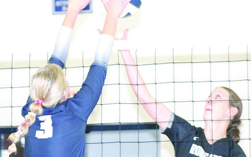 HTRS’ Macy Vrtiska (#3, left) gets her hands on a block against the E-M-F Bobcats at the Pioneer. Paula Jasa/Republican