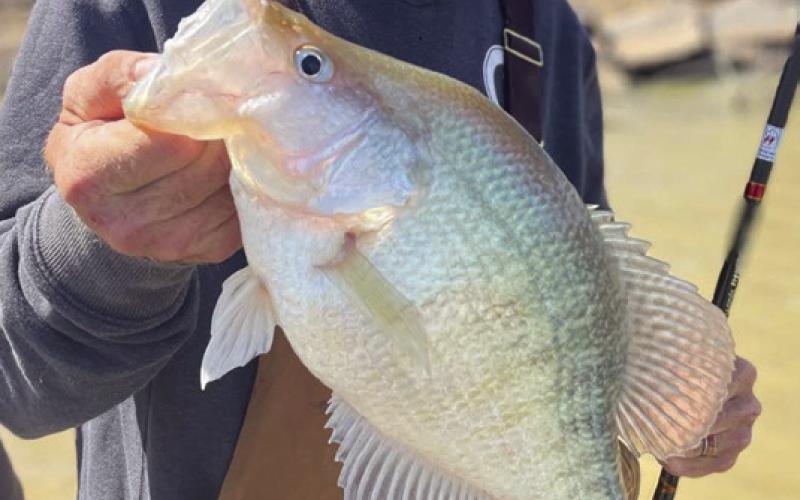 Joe Norman with a fish he caught
