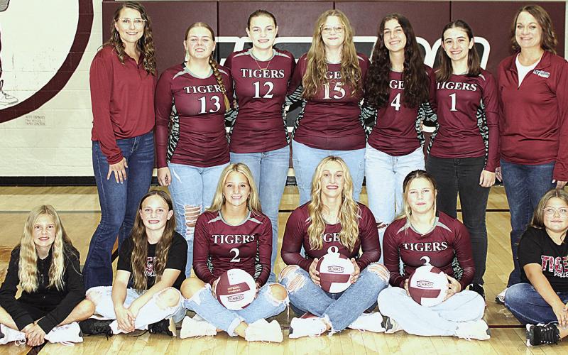 Members of the 2025 Lewiston volleyball team are front, from left: Abby Harms &amp;amp; Alivia Wehrbein, Justice Currie, Seniors Madeline Janssen and Ayden Hunzeker. Back row: Kayleigh Wehrbein, Issabel Meyers, Sara Wiles, Vivienne Johnsen, Savannah Cutshall &amp;amp; Aisilynn Campbell, Catie Neidemeyer. Not pictured: Gabby Gray and Lilli Gray