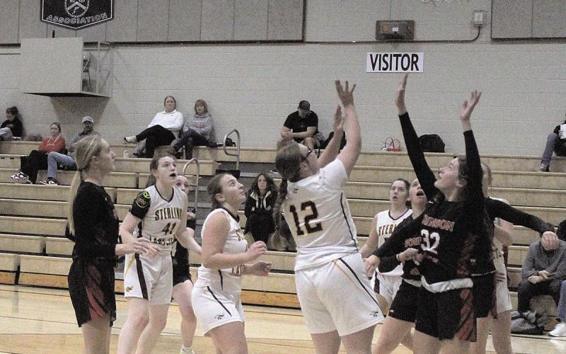 Sterling Jet Vivienne Johnson shoots a basket