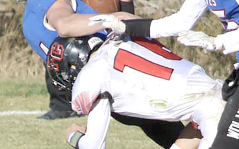 P.C.’s Anthony Kling (#16, right) buries an Arthur County ball-carrier in last Friday’s game. Kling recorded 7 tackles against the Wolves. photo courtesy of Jamie Maloley