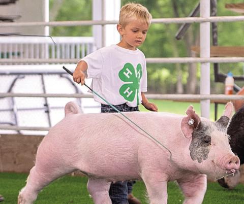 2025 Pawnee County Fair 4-H Results