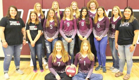 Members of the 2021 Lewiston volleyball team
