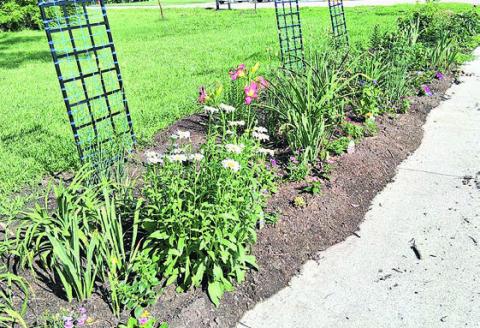 Pawnee County in Full Bloom