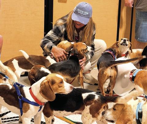 Photo courtesy of Sharla Sitzman Michelle Klahm of Portland, Oregon, enjoys meeting bunches of beagles as she and other journalists prepare for departure