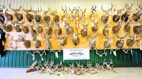 Trophy Animals taken at Hidden Valley Outfitters