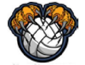 Alt Text for Image