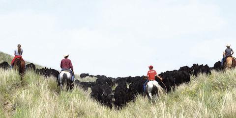 Doing work or chores as a family helps encourage movement in all steps of life. Photo by Natalie Jones