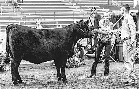Aubrey Sisco–Champion All Other Breeds Breeding Heifer