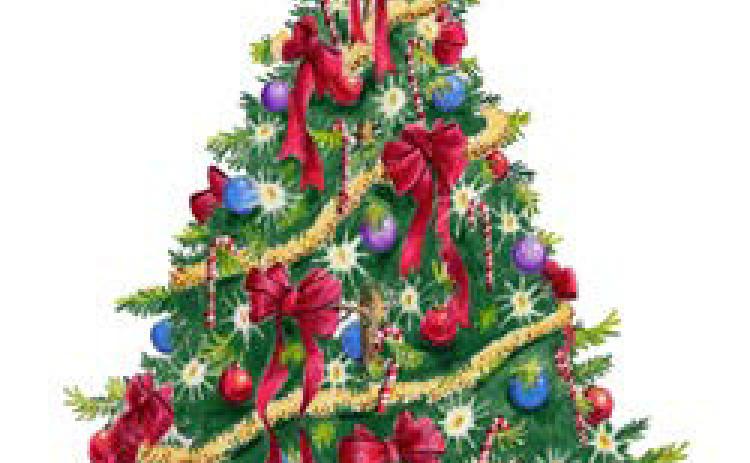 Chamber’s Christmas Festival & The Santa Parade Are December 7th