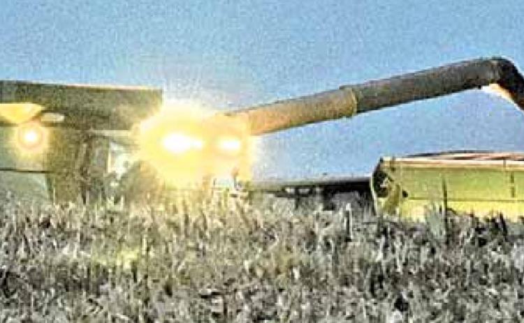 As harvest continues