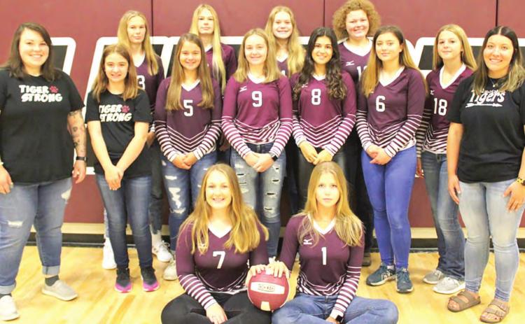 Members of the 2021 Lewiston volleyball team