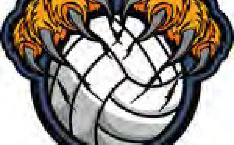 2022 Volleyball Roster
