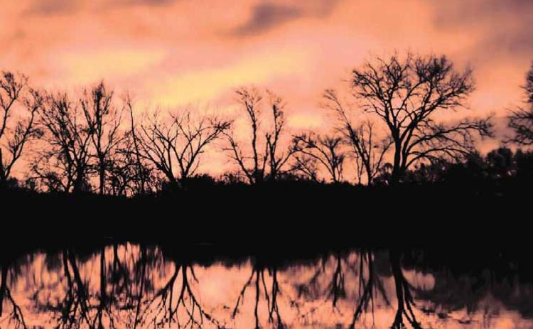 Sunrise at the Pawnderosa