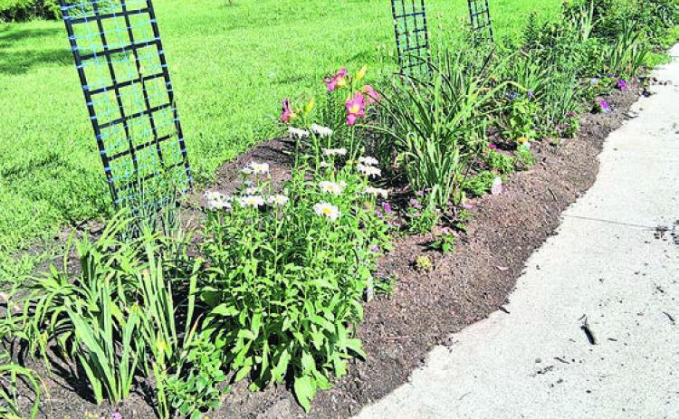 Pawnee County in Full Bloom