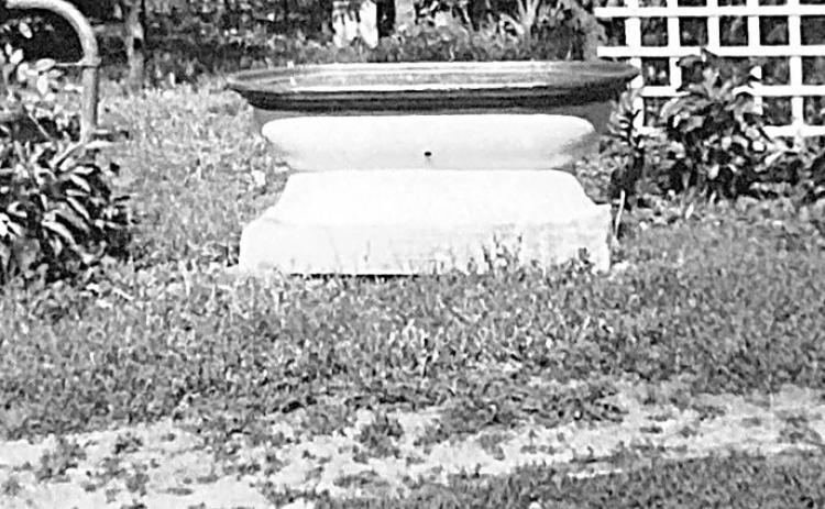 Horse Watering Trough