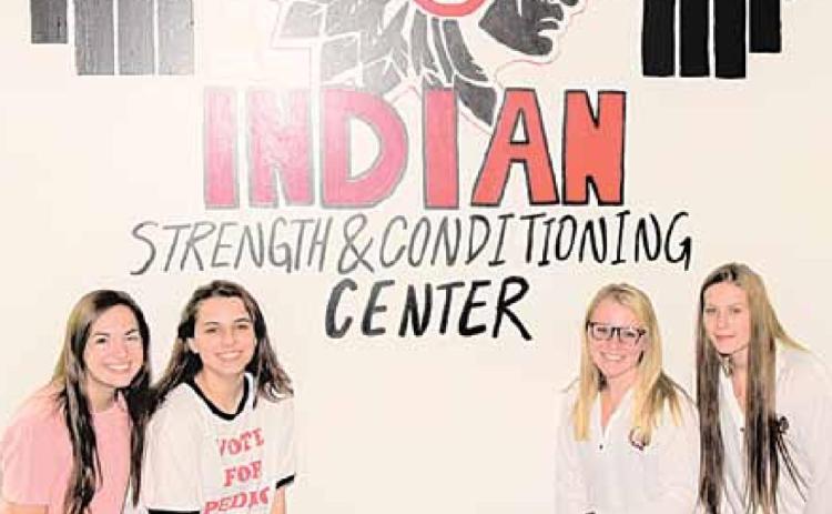 From left: Reyana Tegtmeier, Tristen Bradbury, Reagan de Koning, Madison Branek. These students drew this mural among others at the Pawnee City Schools Fitness Center. Ray Kappel/Republican