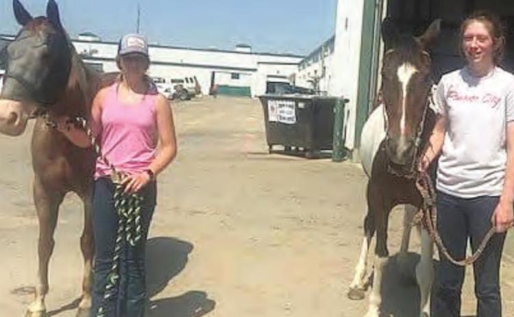 District Horse Show