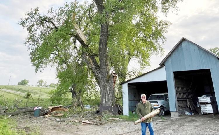 Lightning struck this huge cottonwood tree and blasted it apart. Scott Bodie is holding a large piece he picked up 250 yards away in the pasture. The tree is huge, but a close look shows a big part of it gone at the left.