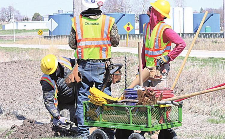 Treating power poles