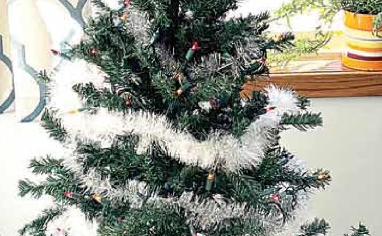 The Mitten Tree