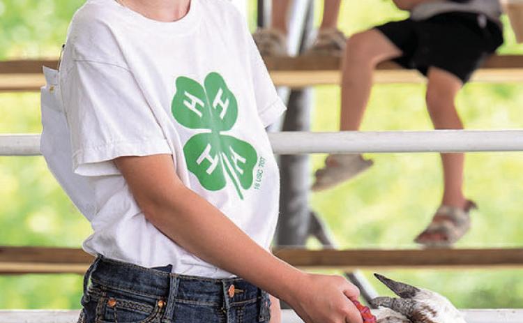 Jael Cappen – Purple Champion Dairy &amp; Pygmy Goat Showman Junior Division