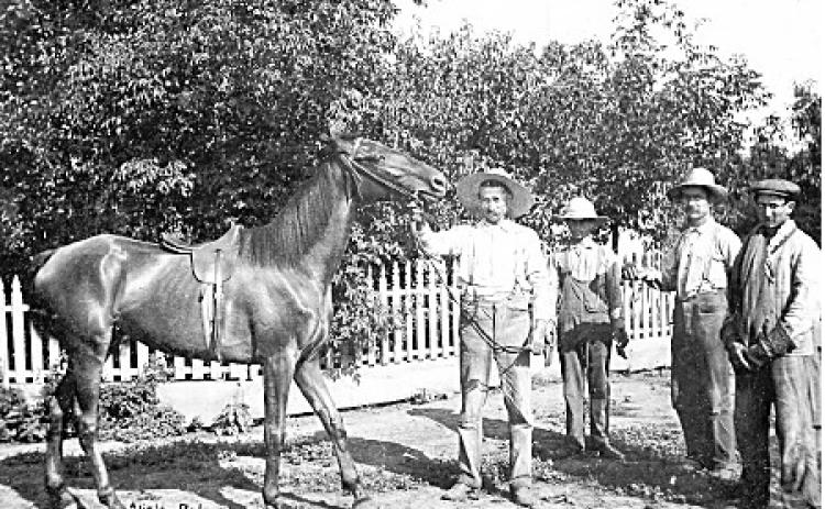 Above: Bill Frank, holds his thoroughbred race horse Viola Roberts in this undated photo. He was one of a series of owners of the building during the lost years between the use of the building as a livery stable and as a vehicle repair shop. Perhaps he used the barn to hold her and others, as well as horses he treated as a veterinarian.