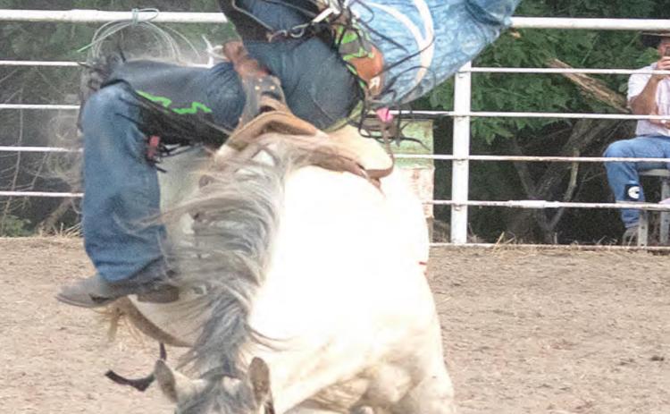 Pawnee County Fair fun