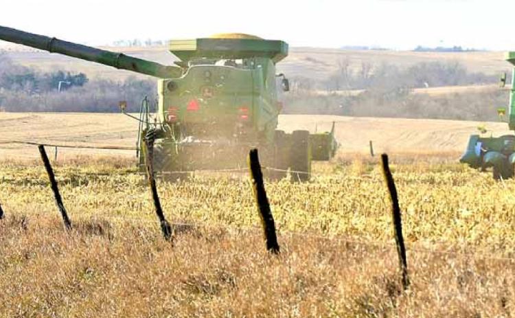 Finishing the harvest for Bryce Niss