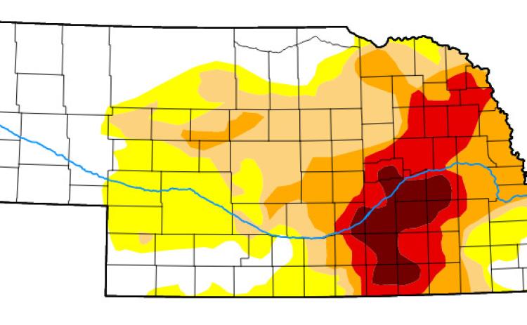 Drought Conditions