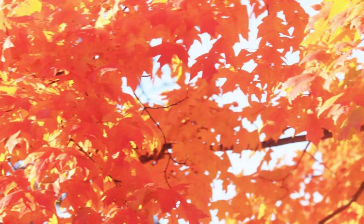 Fall is a time to appreciate our area’s beauty