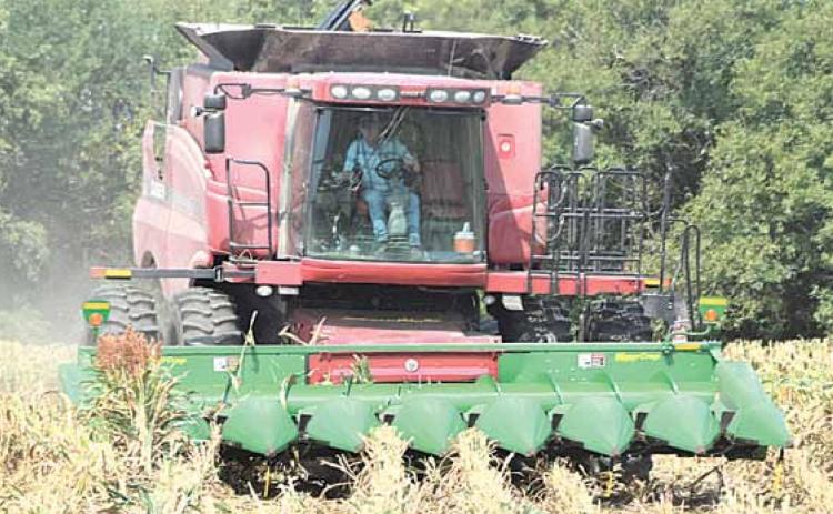 Area harvesting underway