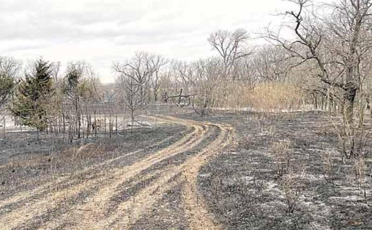 80 acres burn at Taylors Branch WMA