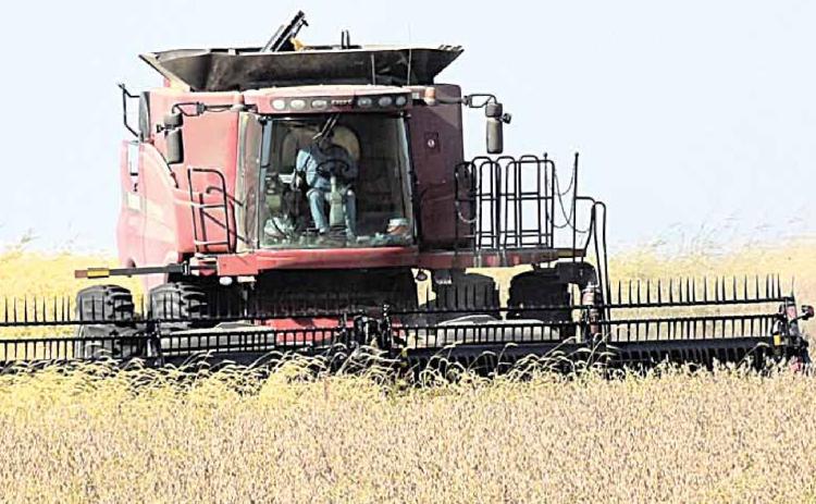 Harvest running ahead of normal