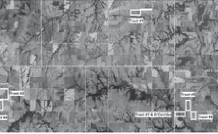 Alt Text for Image