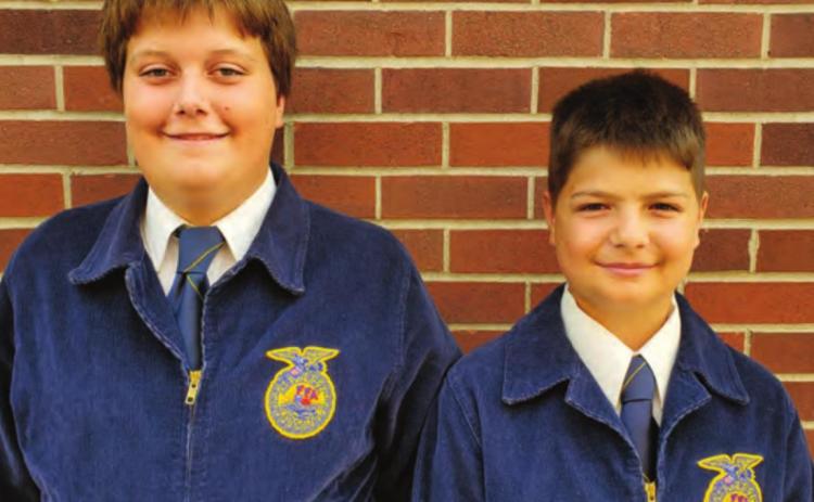 FFA news