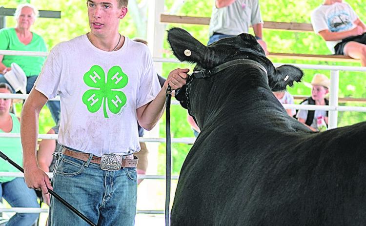 Ashton Sanders – 3.759day – Purple – Champion Beef Rate of Gain Steer