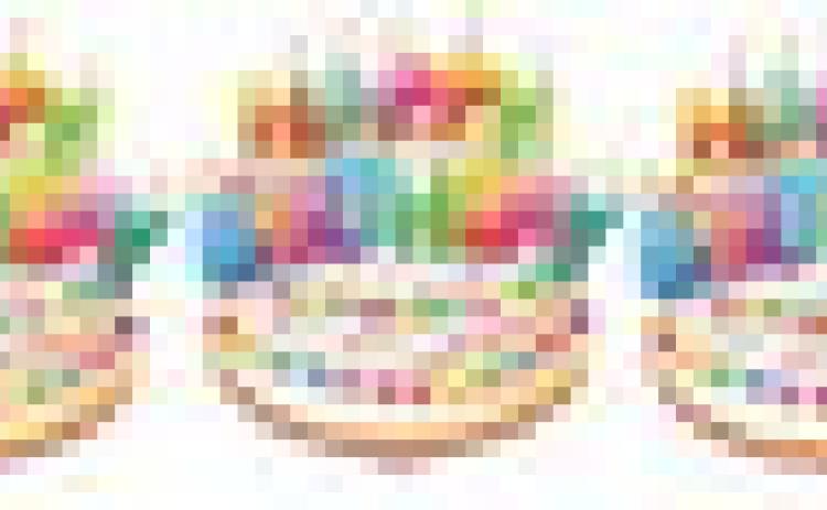 Alt Text for Image