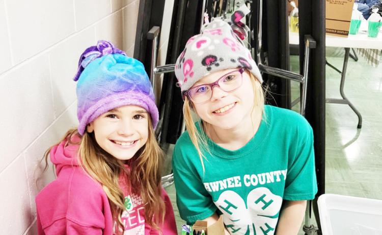 4-H Promotion Night