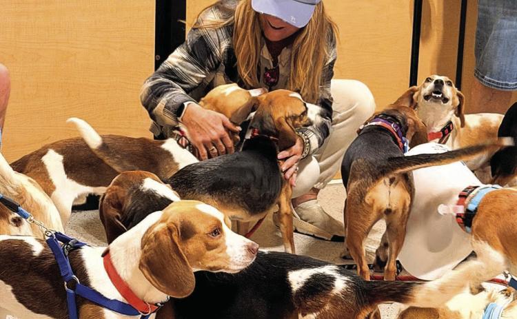 Photo courtesy of Sharla Sitzman Michelle Klahm of Portland, Oregon, enjoys meeting bunches of beagles as she and other journalists prepare for departure
