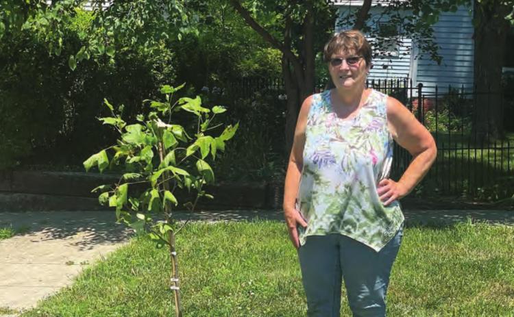 Mary Luedders and her Tulip tree.