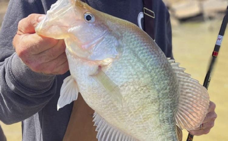Joe Norman with a fish he caught