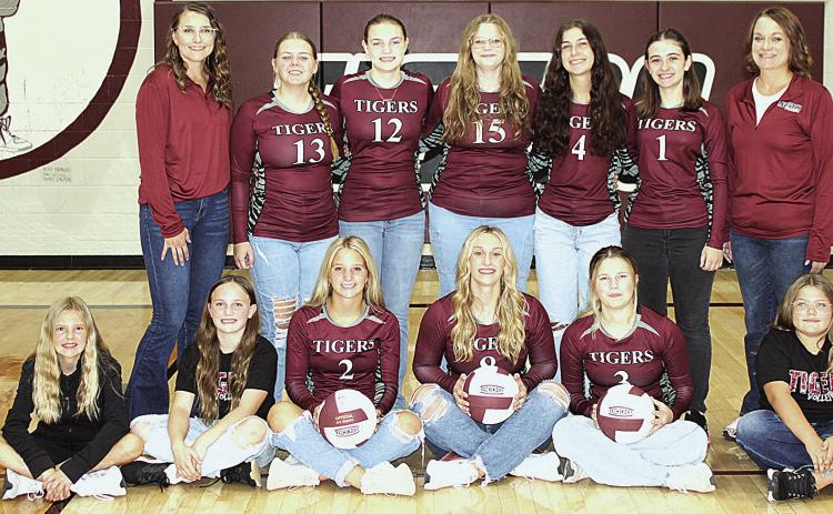 Members of the 2025 Lewiston volleyball team are front, from left: Abby Harms &amp; Alivia Wehrbein, Justice Currie, Seniors Madeline Janssen and Ayden Hunzeker. Back row: Kayleigh Wehrbein, Issabel Meyers, Sara Wiles, Vivienne Johnsen, Savannah Cutshall &amp; Aisilynn Campbell, Catie Neidemeyer. Not pictured: Gabby Gray and Lilli Gray