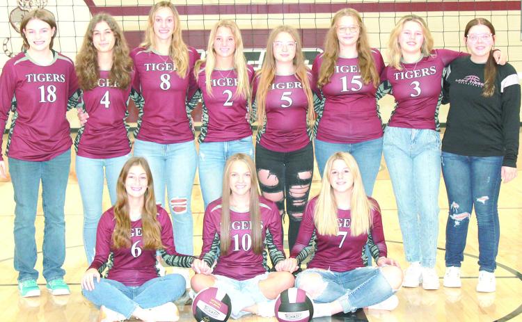 Members of the 2024 Lewiston volleyball team are front, from left: Kierstin Rehrs, Jenna Anderson and DeLanye Currie. Back row: Sara Wiles, Savannah Cutshall, Maddie Janssen, Justice Currie, Jacelyn Cloyd, Vivienne Johnsen, Ayden Hunzeker, Issabel Meyers, s.m. Not pictured: Head Coach Emily Bohling, Asst. Coach Pandora Worthey, Asst. Coach Carli Kohout.