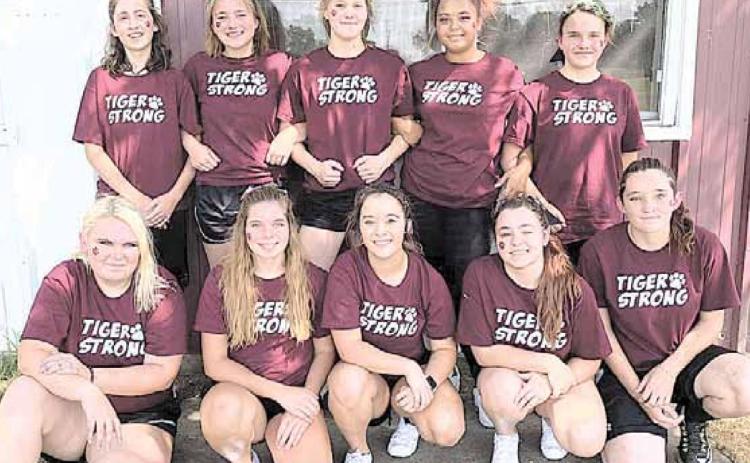 The LCS Cheer squad this year