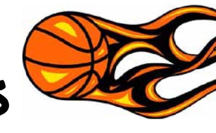 Lady Tiger Roster