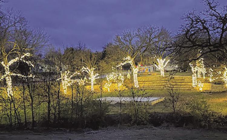 VanHorne Park Transformed into a Winter Wonderland
