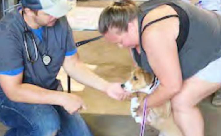 Vaccination clinic